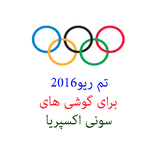 com.yourcompanyname.themerio2016brazil