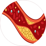 com.khorshid_tx.kolostrol