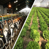 com.htmlApi24novinsoft99.modereatkeshavarzevadamdare