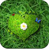 com.green.wallpaper.green.backgrounds