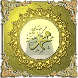 com.stillnewagain.salavat