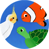 air.bftv.flipbook.animals