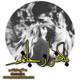 ir.ali.gholami.BOAZJANAM