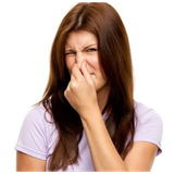 berooz.tarinha.app.dahan.badan.khoshboo