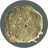 com.khorshid_ht.behesenokhae