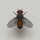 com.galbro.cataloneandroid