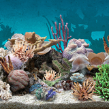 com.amaxlwps.aquarium3dlivewallpaper