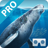 com.Einpictures.SeaWorldVRPro