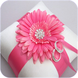 max.tazeenataghdoaroosi