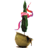 ir.peyambareomid.this40persons