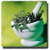 ghah.ancheatarniyazdard