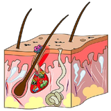 ir.tashkhes.va.darmane.bemare.poste