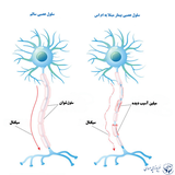 ir.darmane.bemare.ms