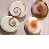 com.homeopathy.sixth