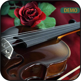 ir.araroid.violinringDemo