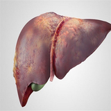 com.txtApi24novinsoft99.kabedchrb