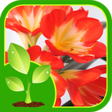 ir.tinasoft.gardening