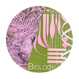 com.sarcrafts.branchesofbio