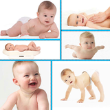 ir.arzani.danestaniezdevaj