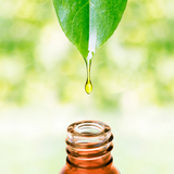 com.txtApi24novinsoft99.roghandarmani