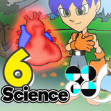 air.com.cmapp.circulatorysystemgrade6