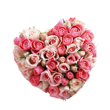 ir.fwz.eshghevagheie