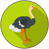 com.parvareshe.shotormorgh