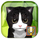 com.akrasoft.talkingkittens