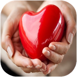 didar.hamechizdarbareghalb