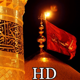 com.w953db321bdf473b09e12a0cb423bd51b