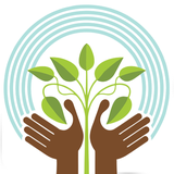 psychology_tests.counseling.test34