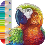 com.forqan.tech.MandalaColoring