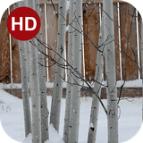 ir.hmh.PeaceLiveWallpaper_35