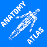 com.panacea.anatomyatlas.lite