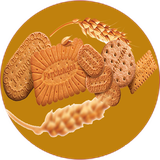 com.khorshid_sqltlm.biskuyitkoki