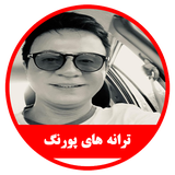 ir.alz.darushfarziyaei