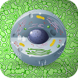 com.edu.completebiology