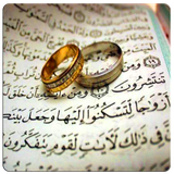 com.mehrdaddev14.stekharetalayee