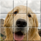 hu.silentworks.slidepuzzleworld