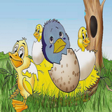 bahar.ahmai.p.se_d_joje_ordak_zesht