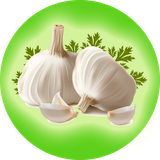 Sir.Mojeze.Javani.EmaRoid.ir