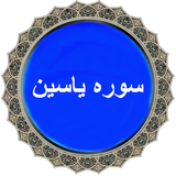 com.topdata.soreyeyasin