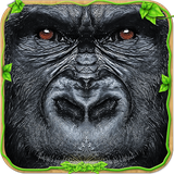 com.mas3dstudio.ultimate.gorilla