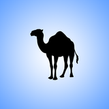 alibaghbani.arabihashtom