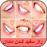 samira.dandansefid1.book