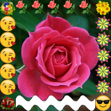 app.deylam.ghabsaz_deylam