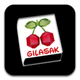 com.gilasak.dictionarygilasak