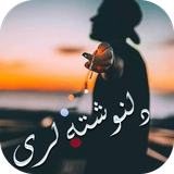 com.mahrooroid.loridelneveshte