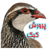 iran.kamranjan.amozeshkabk