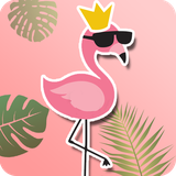 com.flamingo.cute.kawaii.summer